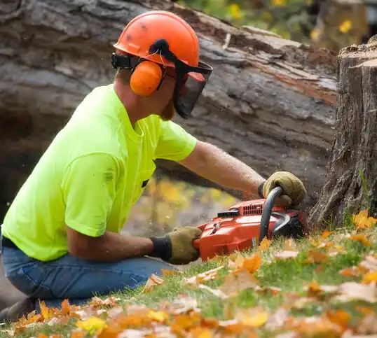 tree services Cabool